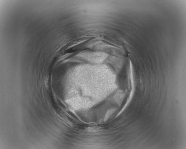 X0000078030556200611251558