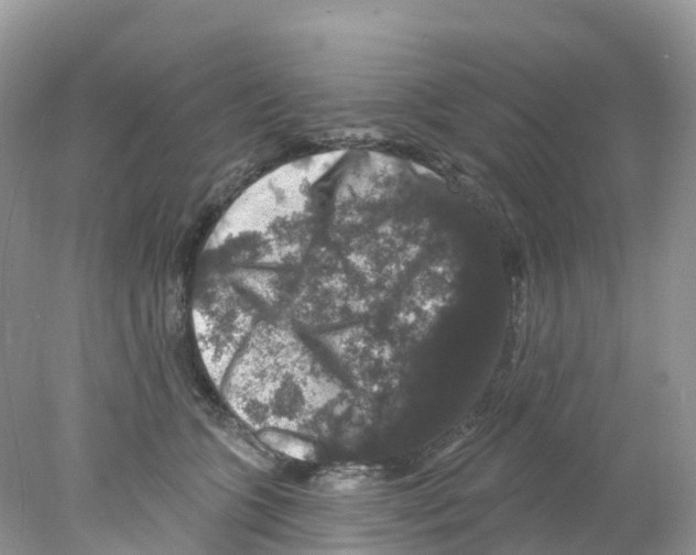 X0000078030563200611251558