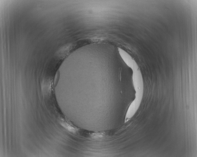 X0000078030574200611251558