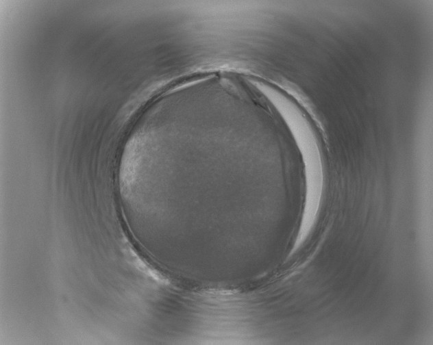 X0000078030577200611251558