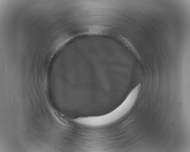 X0000078030588200611251558
