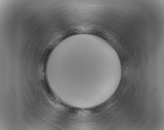 X0000078030599200611251557