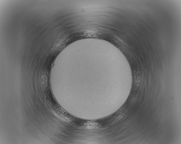 X0000078030603200611251557