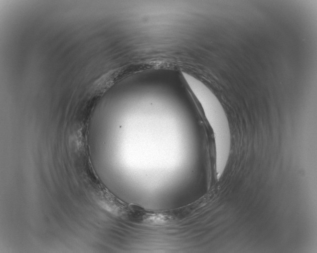 X0000078030611200611251557