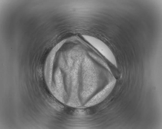 X0000078030613200611251557