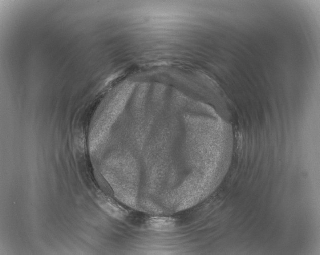 X0000078030617200611251557