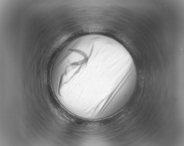 X0000078030631200611251556