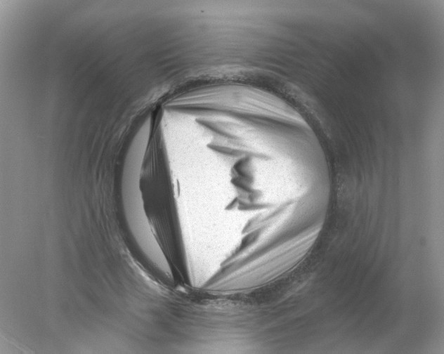 X0000078030633200611251556