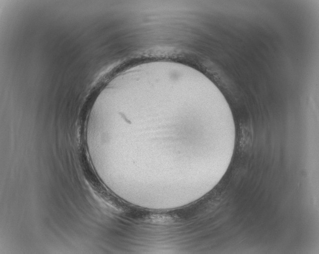 X0000078030636200611251556