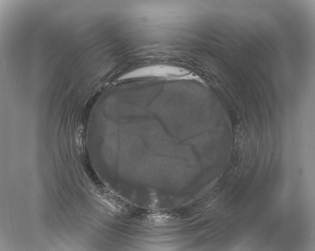 X0000078030650200611251557