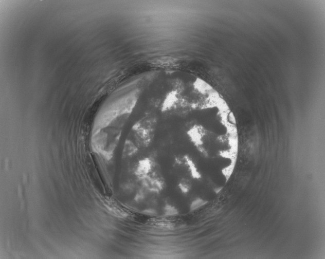 X0000078030658200611251557