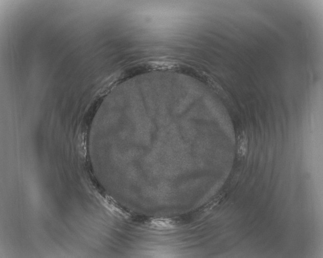 X0000078030666200611251557
