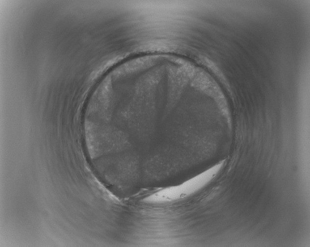 X0000078030673200611251556