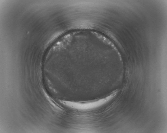 X0000078030677200611251556