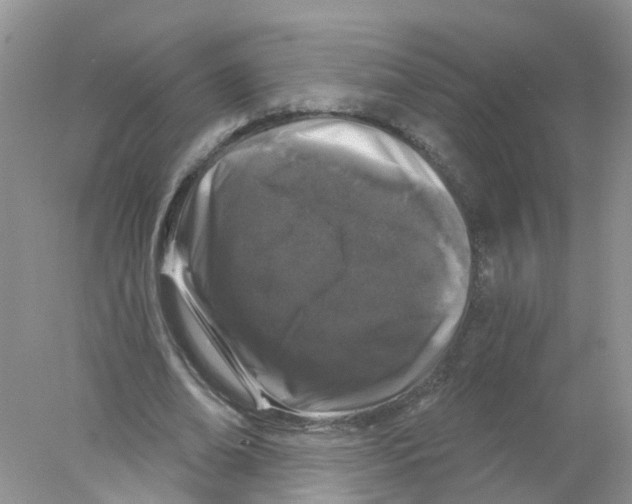 X0000078030678200611251556