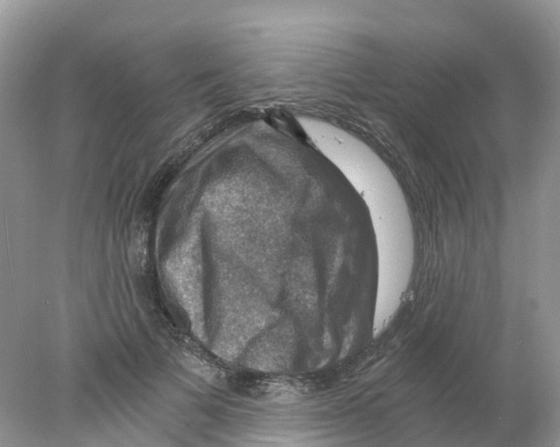 X0000078030697200611251556
