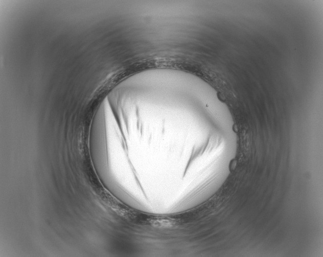 X0000078030698200611251556