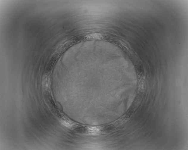 X0000078030701200611251556