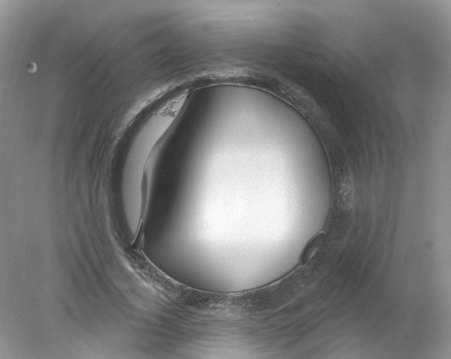 X0000078030732200611251555