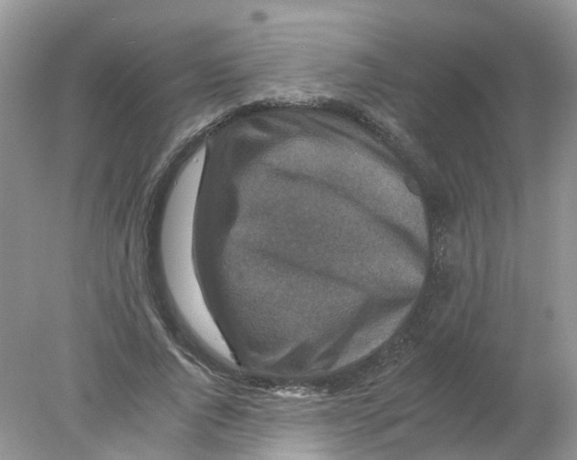 X0000078030736200611251555
