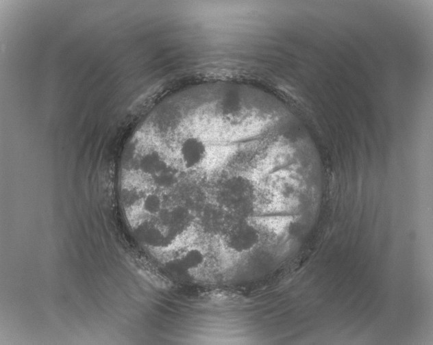 X0000078030737200611251555