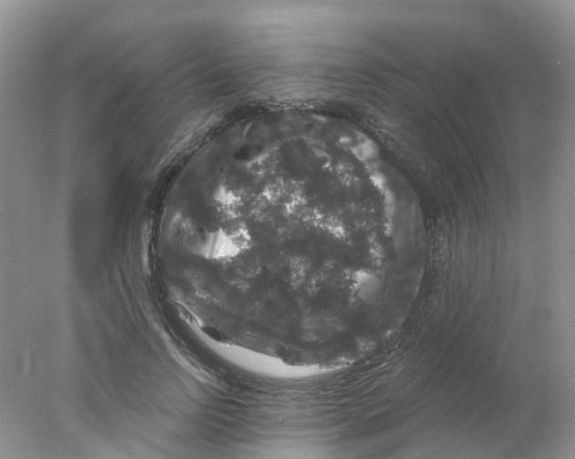 X0000078030742200611251555