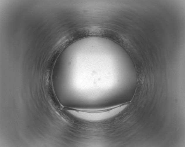 X0000078030744200611251555