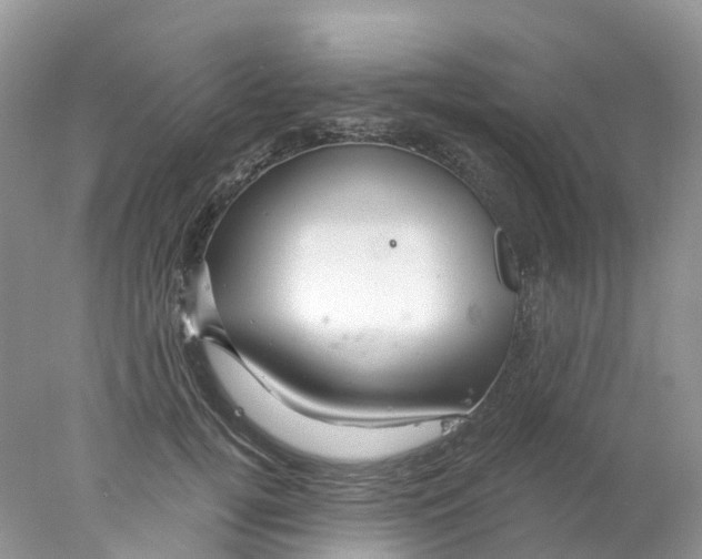 X0000078030752200611251555