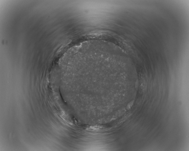 X0000078030758200611251555