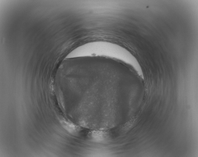 X0000078030766200611251555