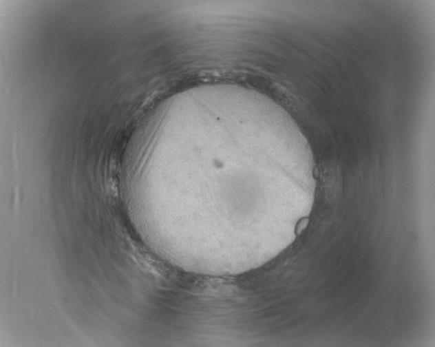 X0000078030770200611251554