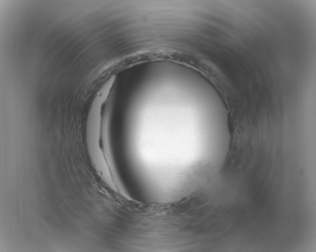 X0000078030773200611251554