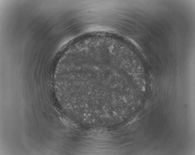 X0000078030775200611251554