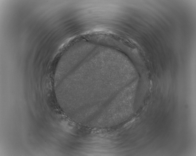 X0000078030776200611251554