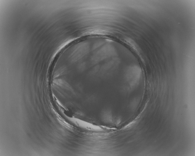 X0000078030779200611251554