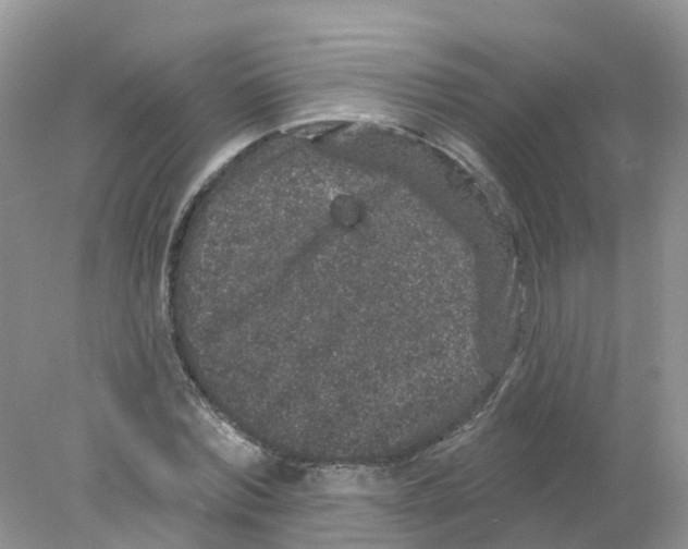 X0000078030780200611251554