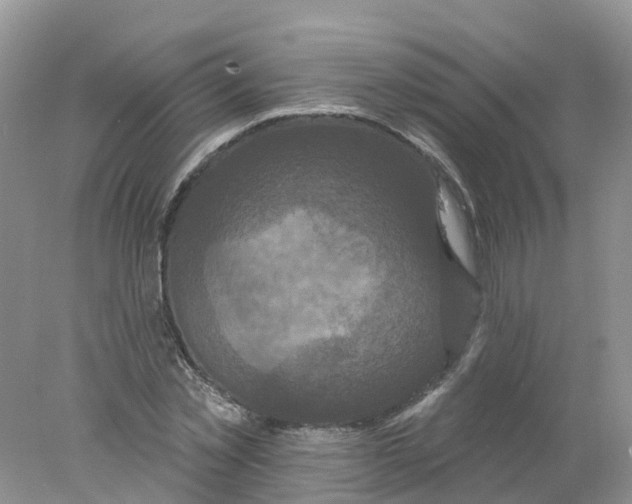 X0000078030781200611251554