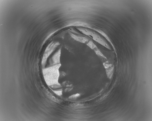 X0000078030783200611251554