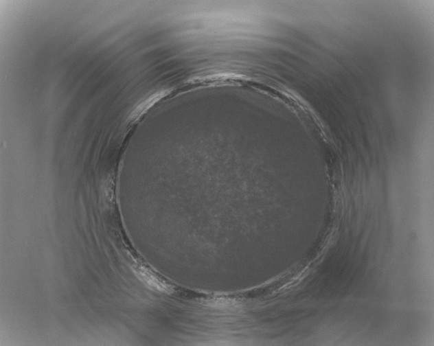 X0000078030785200611251554