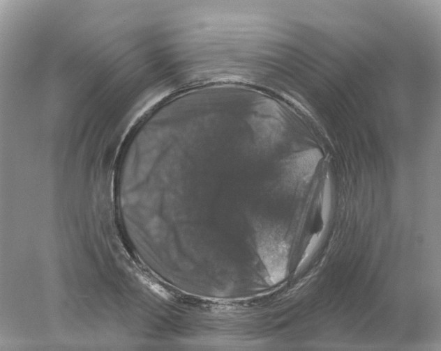 X0000078030790200611251554