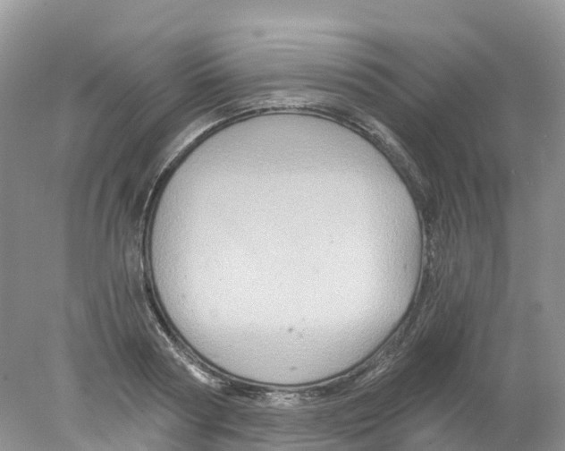 X0000078030794200611251554