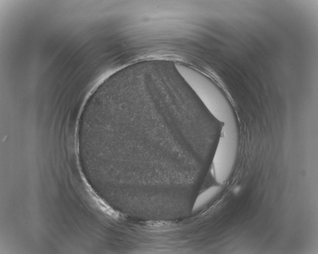X0000078030795200611251554