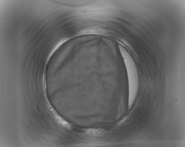 X0000078030796200611251554