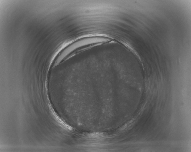 X0000078030797200611251554