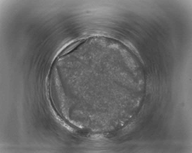 X0000078030798200611251554