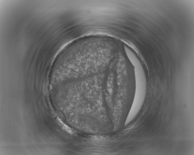 X0000078030799200611251554