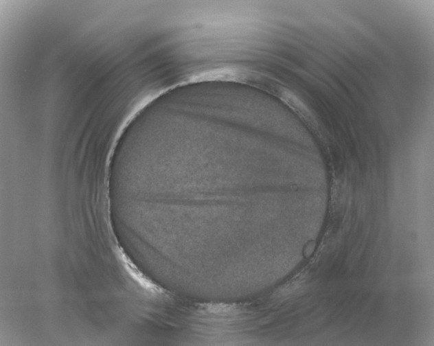 X0000078030800200611251554