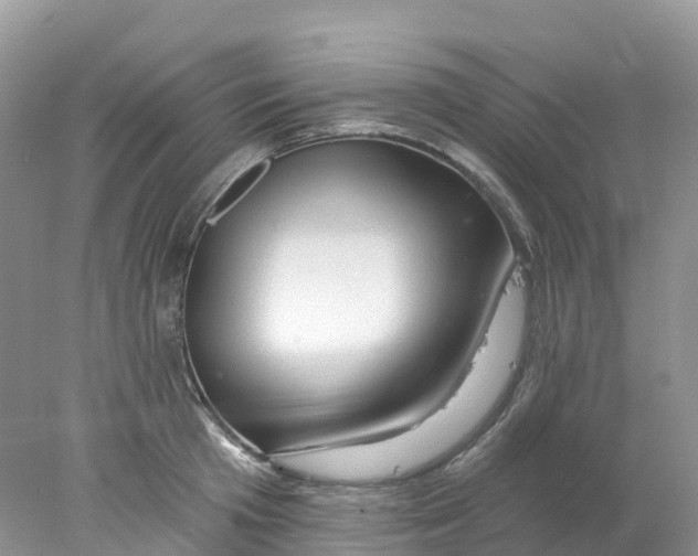 X0000078030801200611251554