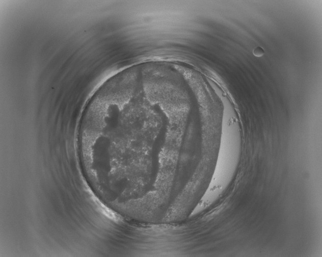 X0000078030803200611251554