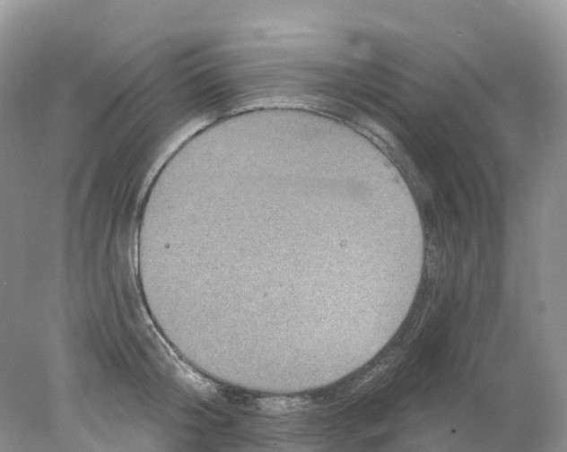 X0000078030804200611251554